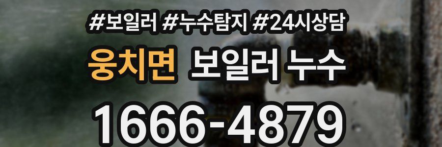 웅치면 누수탐지