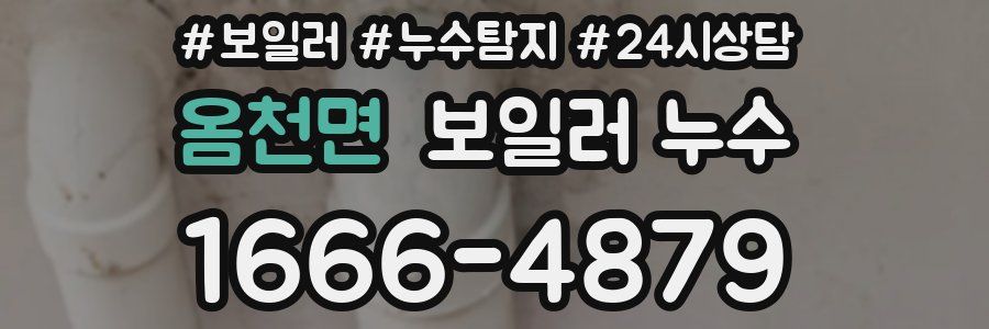 옴천면 누수탐지