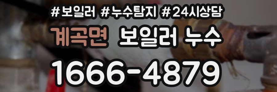 계곡면 누수탐지