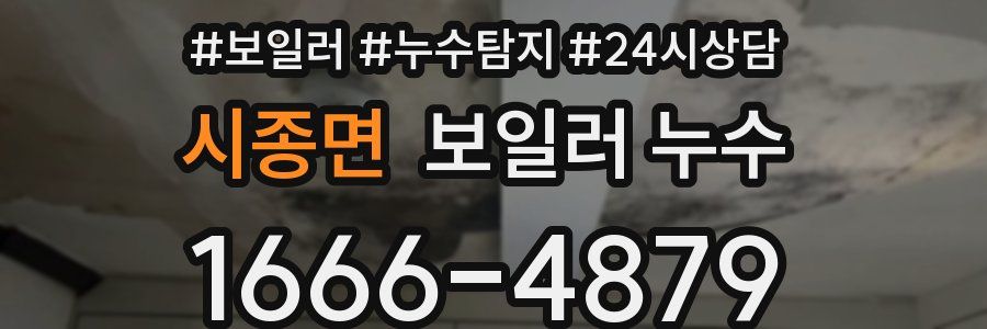 시종면 누수탐지