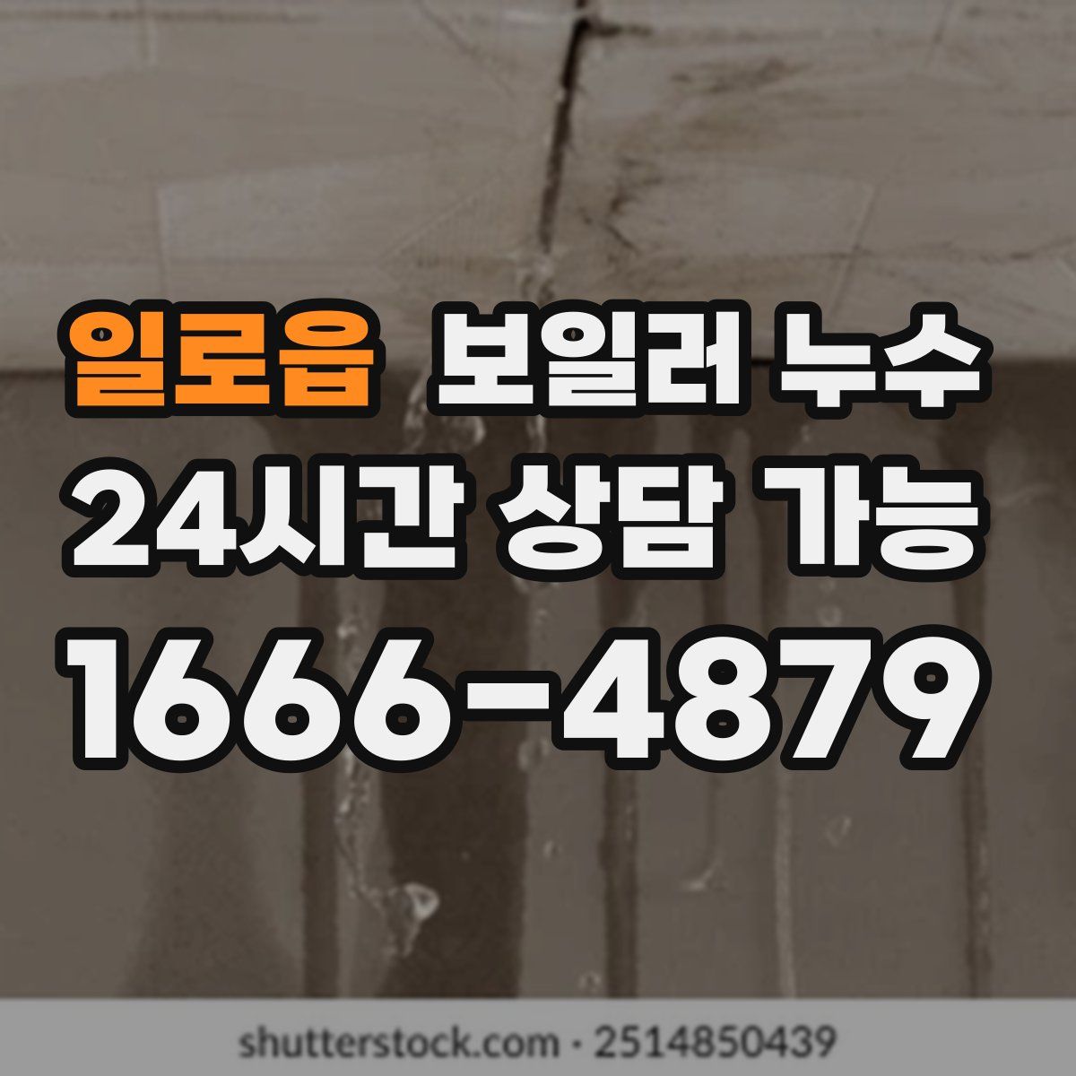 일로읍 누수