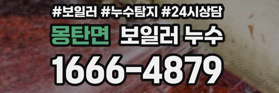 몽탄면 누수탐지