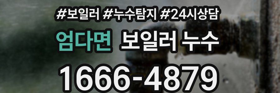 엄다면 누수탐지