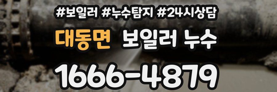 대동면 누수탐지