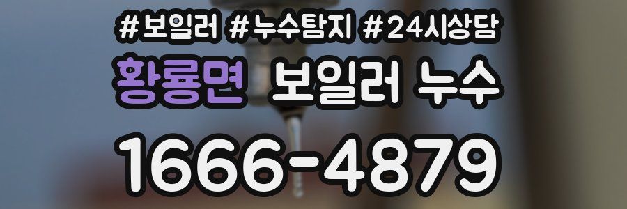 황룡면 누수탐지