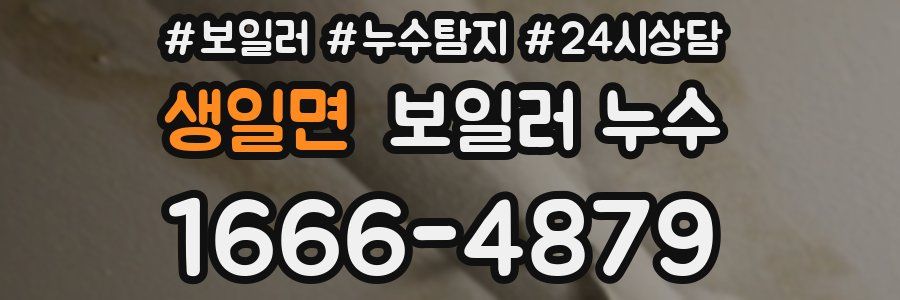 생일면 누수탐지