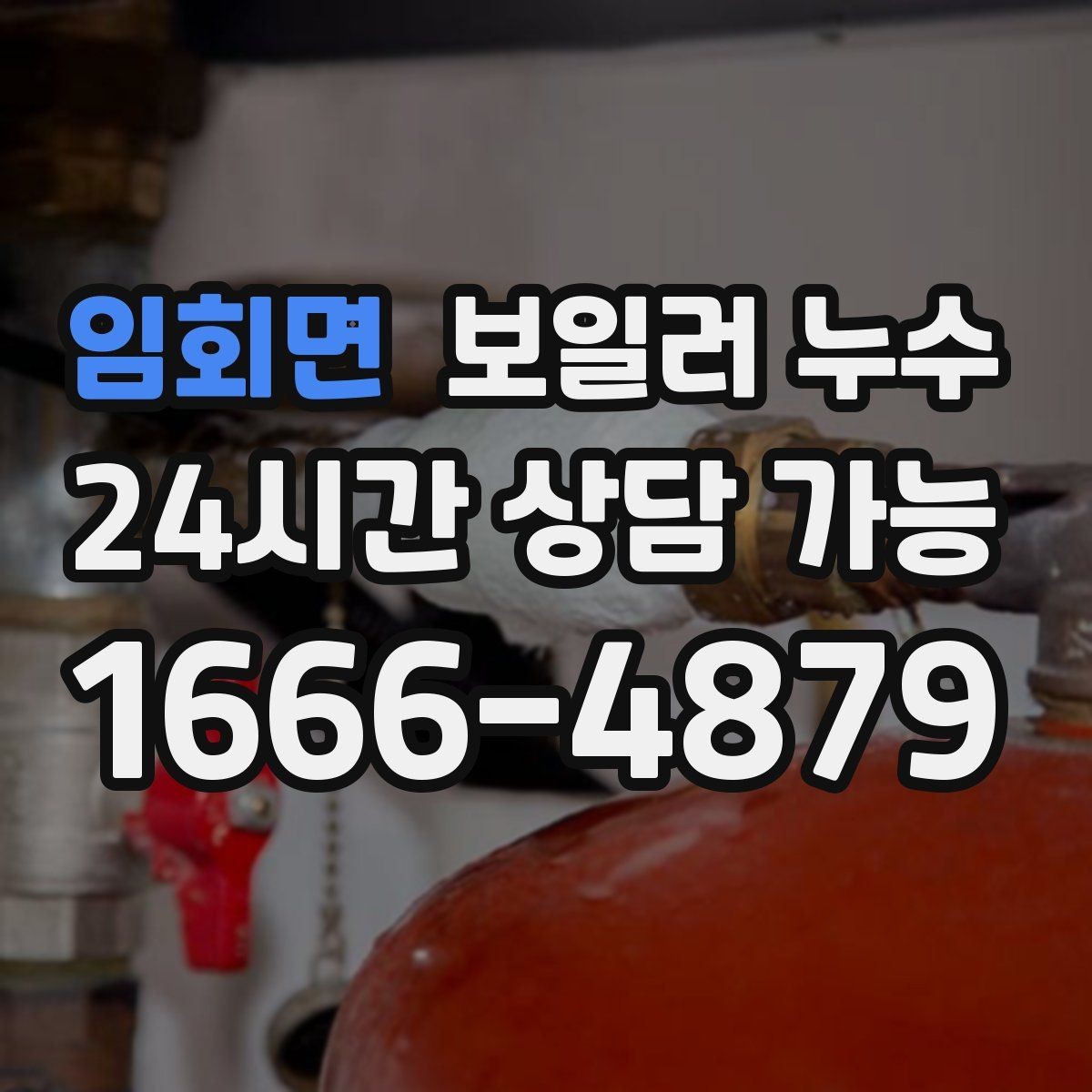 임회면 보일러 누수 보일러실만 젖는 경우 점검 포인트