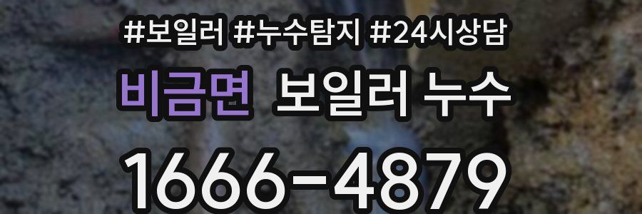 비금면 누수탐지