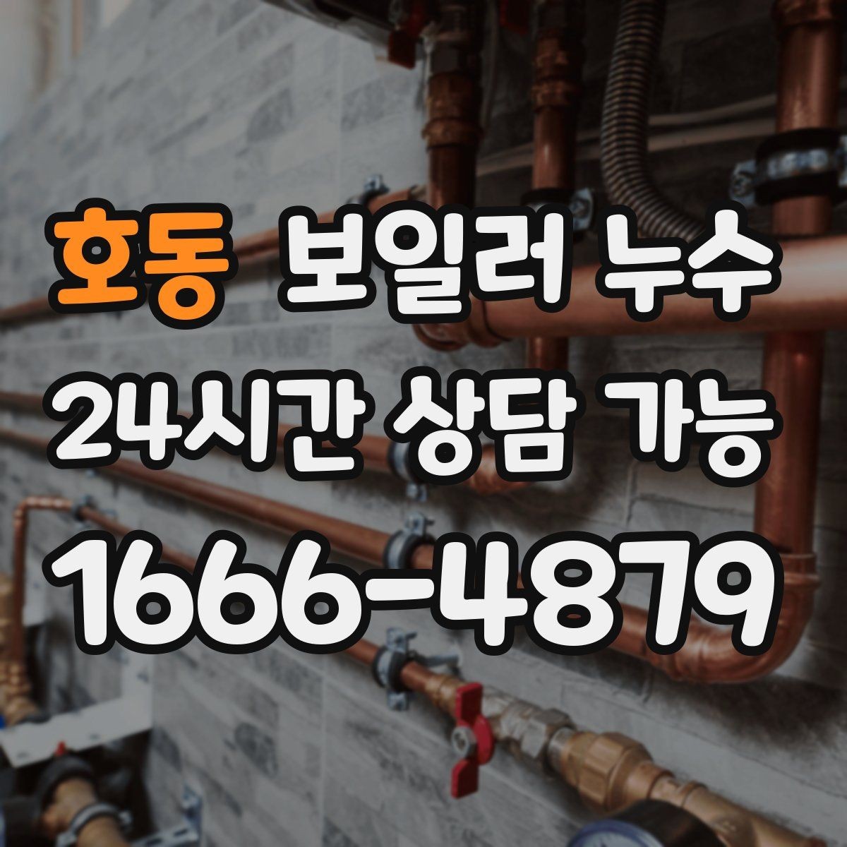 호동 보일러 누수 벽지 들뜸이 같이 나타나는 이유