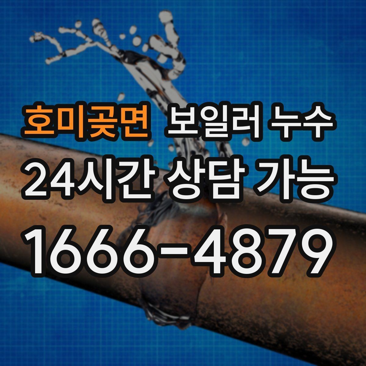 호미곶면 보일러 누수 장판 모서리가 검게 변할 때 확인