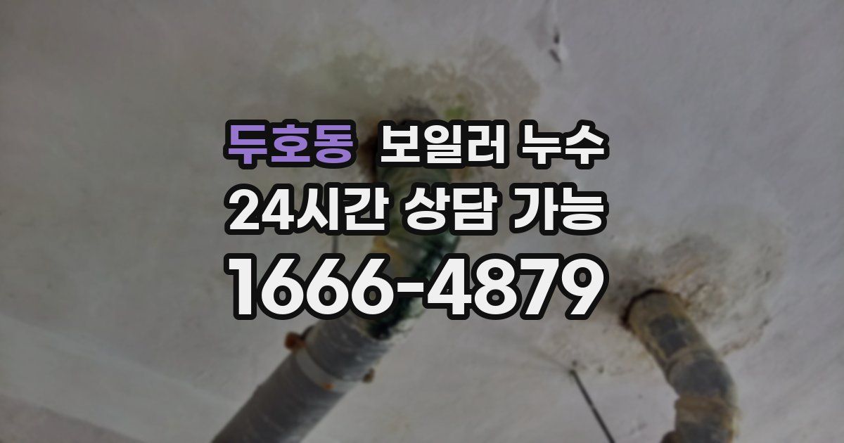 두호동 보일러 누수