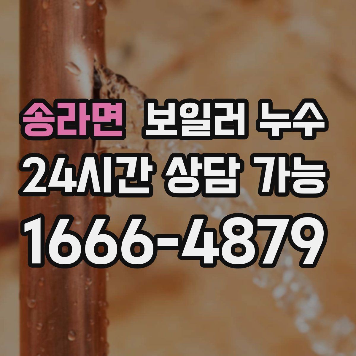 송라면 보일러 누수 곰팡이 냄새만 먼저 나는 경우