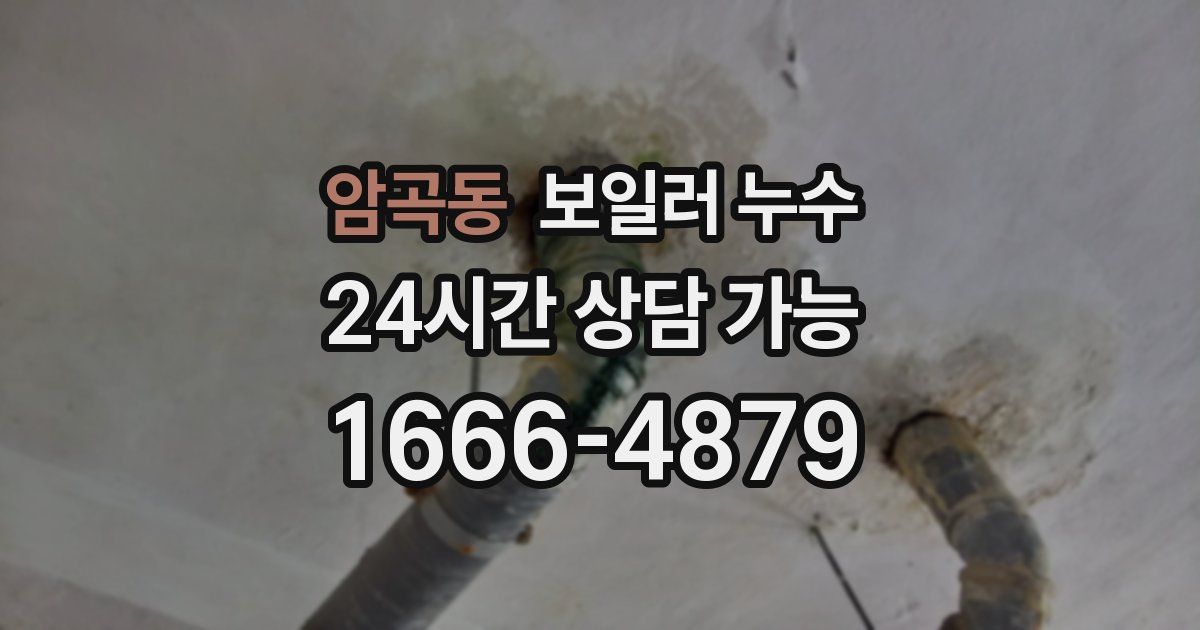 암곡동 보일러 누수
