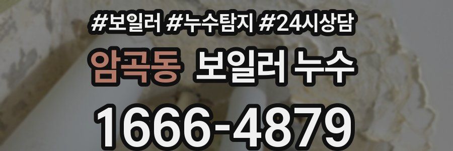 암곡동 누수탐지