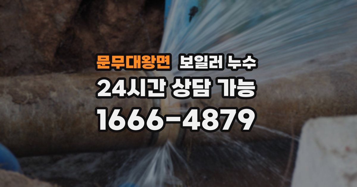 문무대왕면 보일러 누수