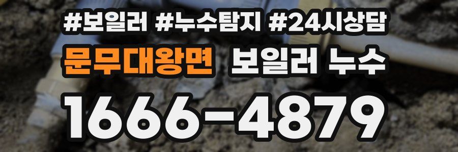 문무대왕면 누수탐지