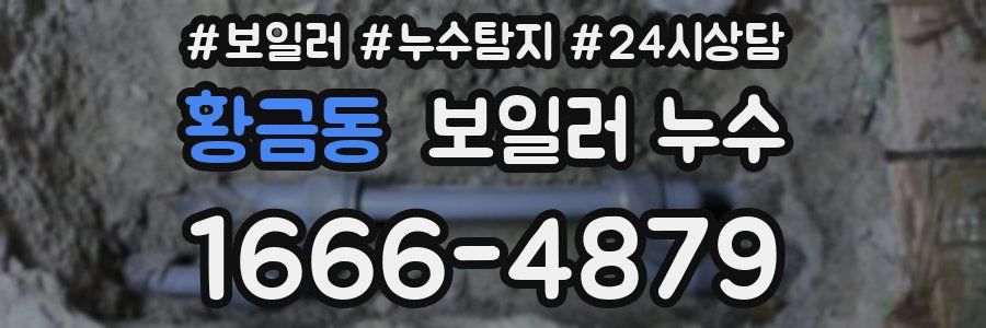 황금동 누수탐지