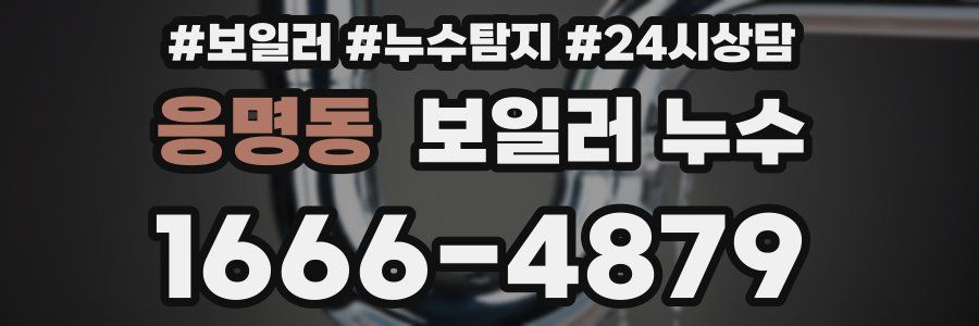 응명동 누수탐지