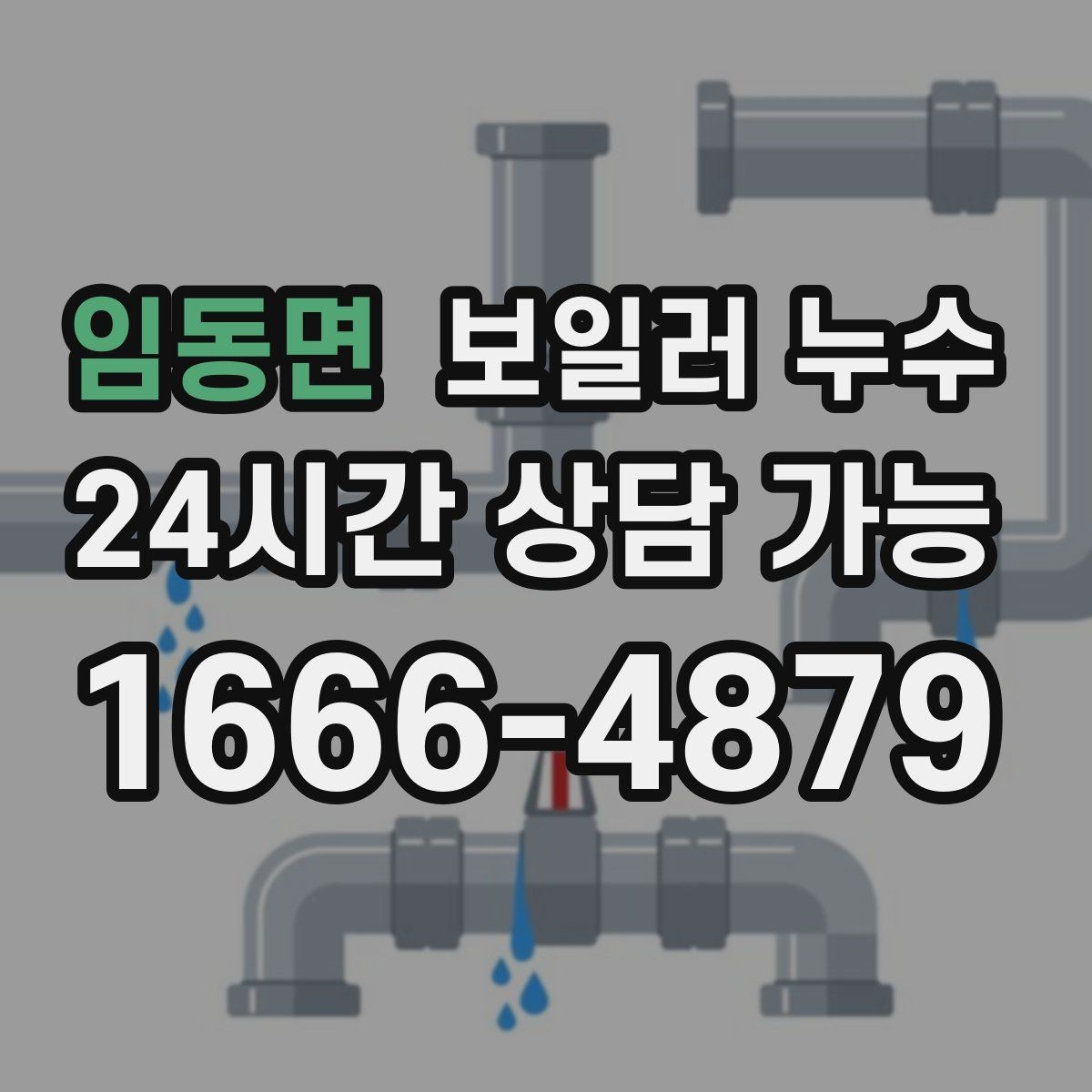 임동면 보일러 누수 바닥 젖음이 반복될 때 확인할 것