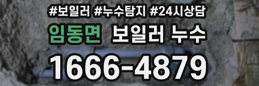 임동면 누수탐지