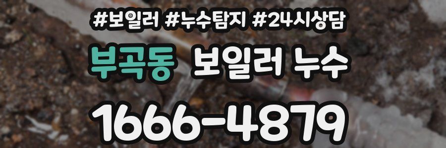 부곡동 누수탐지