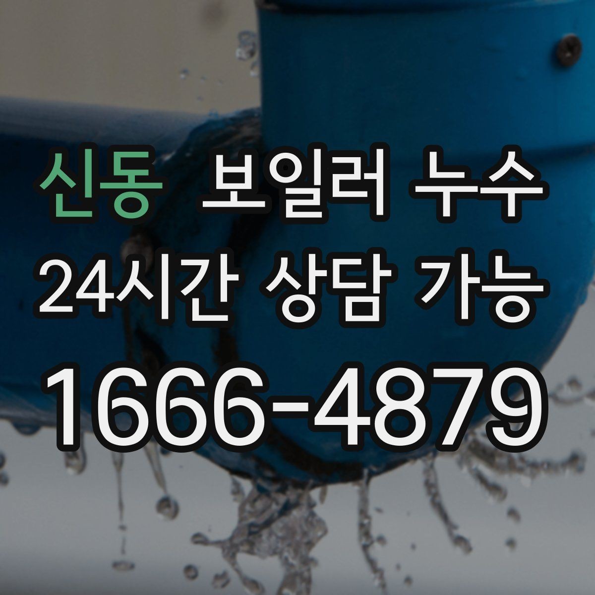 신동 보일러 누수 곰팡이가 빨리 늘어나는 환경 정리