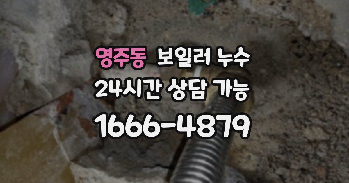영주동 보일러 누수