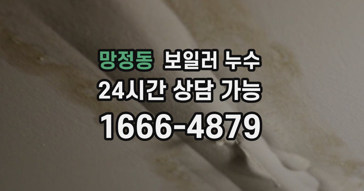 망정동 보일러 누수