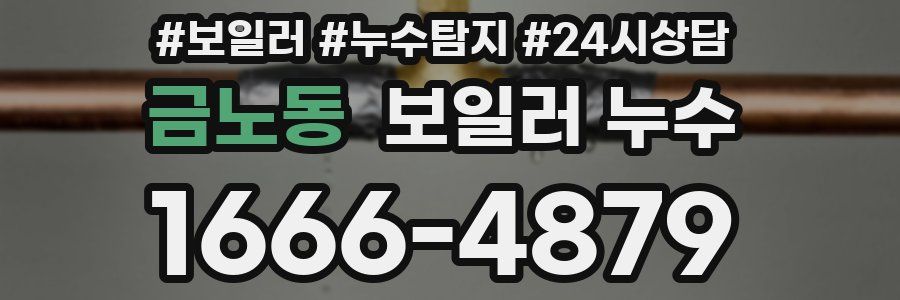 금노동 누수탐지