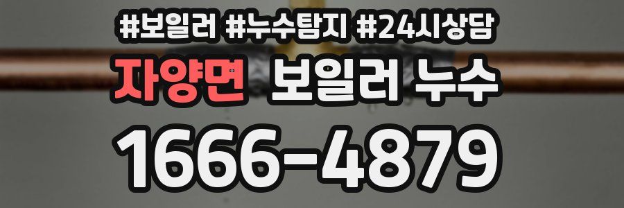 자양면 누수탐지