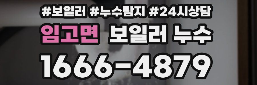 임고면 누수탐지