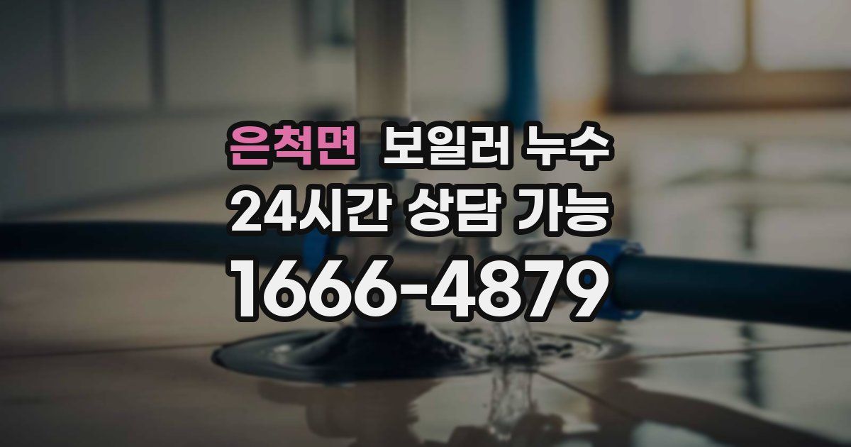 은척면 보일러 누수