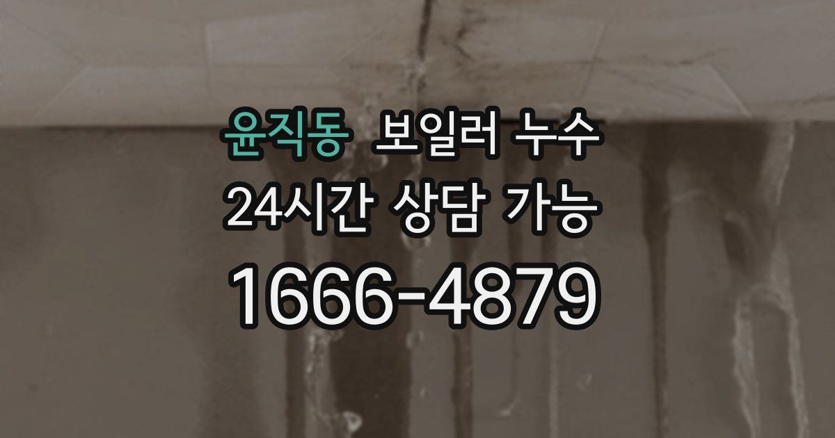 윤직동 보일러 누수