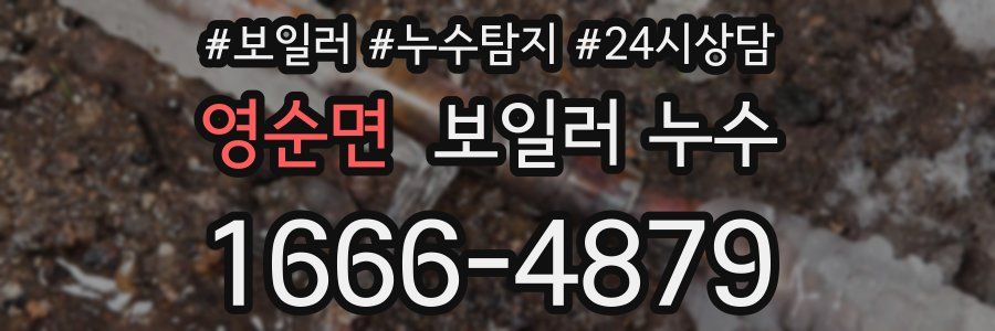 영순면 누수탐지