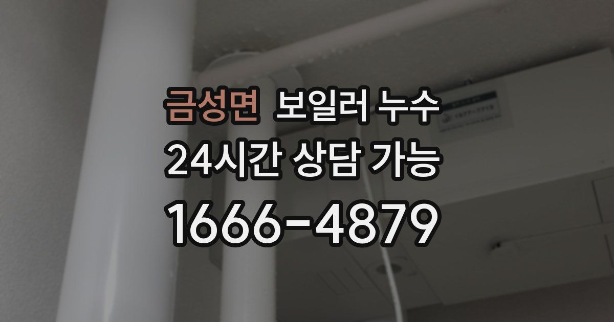 금성면 보일러 누수