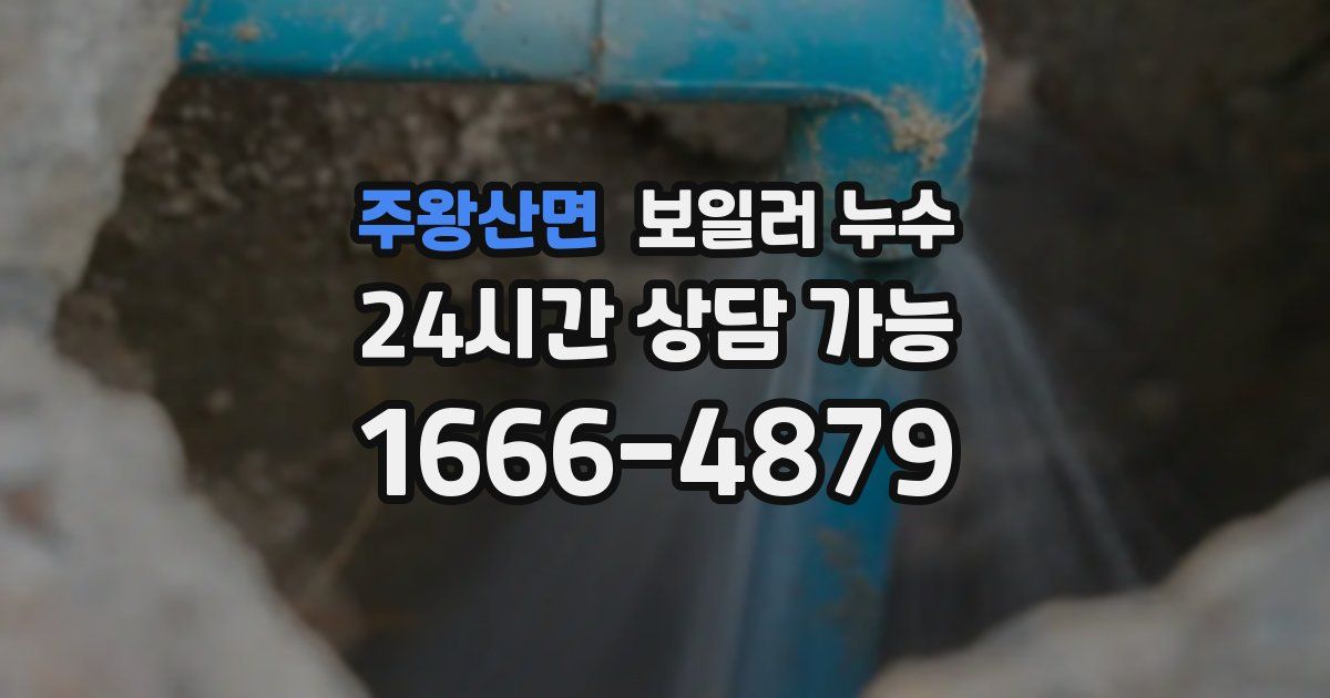 주왕산면 보일러 누수