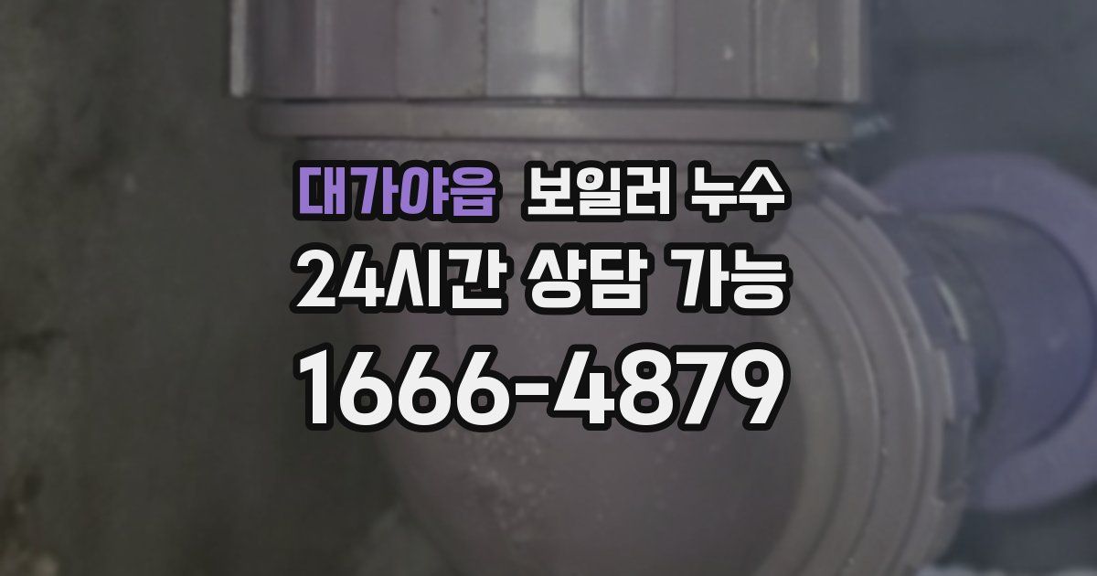 대가야읍 보일러 누수