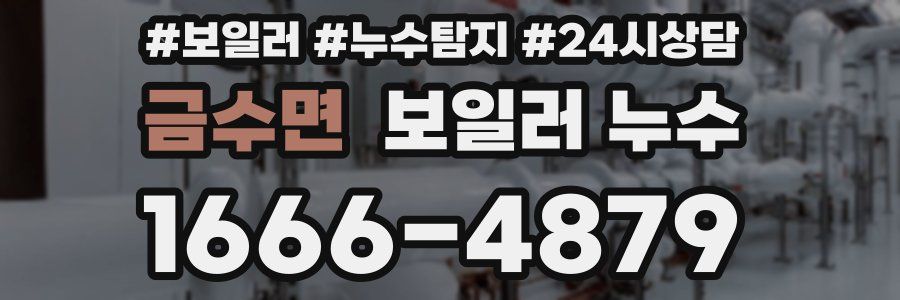 금수면 누수탐지