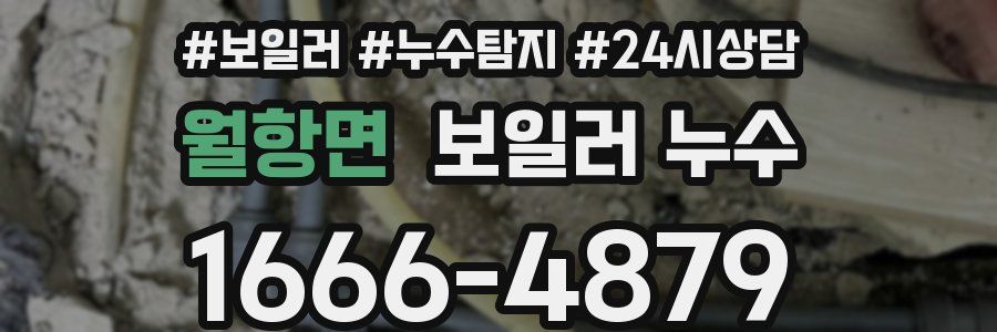 월항면 누수탐지