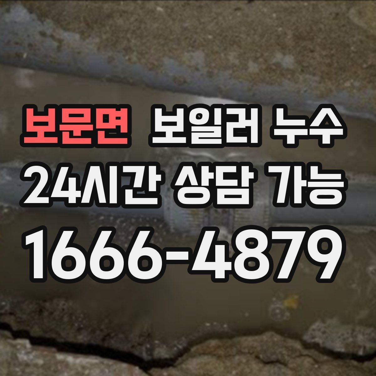 보문면 보일러 누수 장판 아래 곰팡이 냄새가 날 때