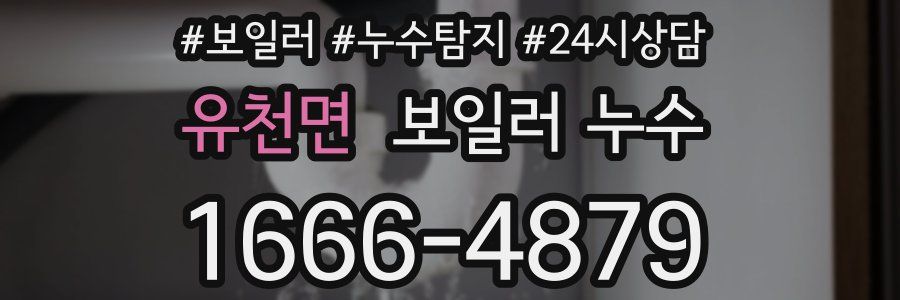 유천면 누수탐지