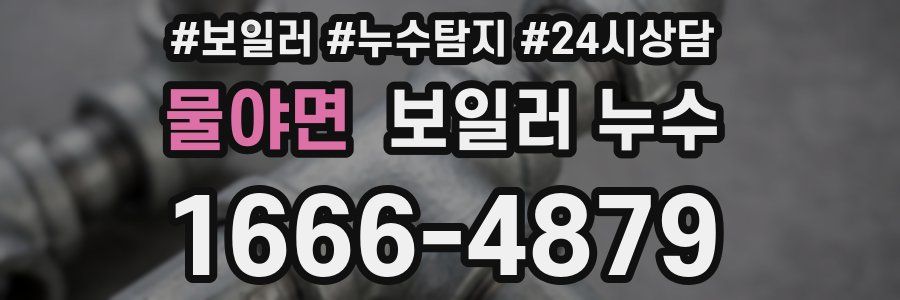 물야면 누수탐지