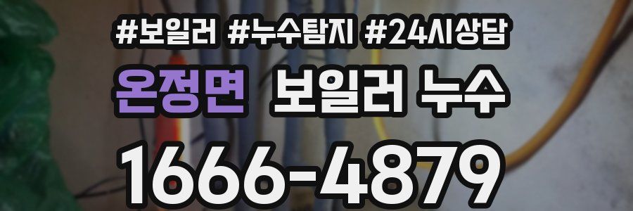 온정면 누수탐지