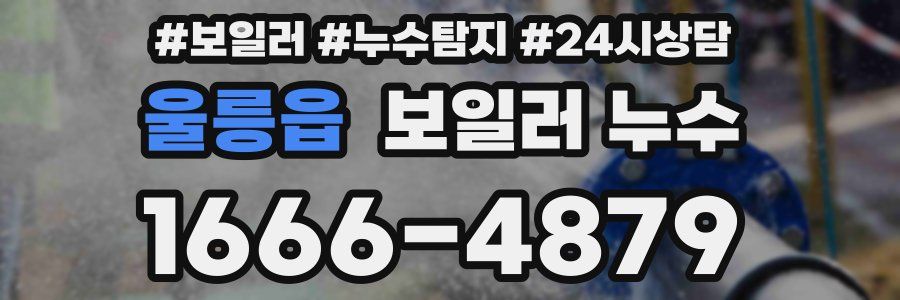 울릉읍 누수탐지