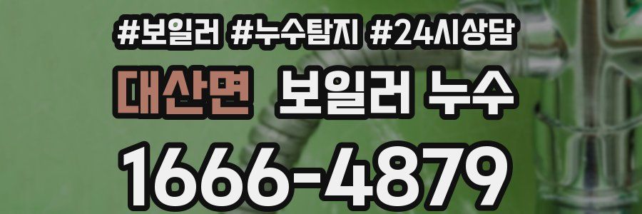 대산면 누수탐지