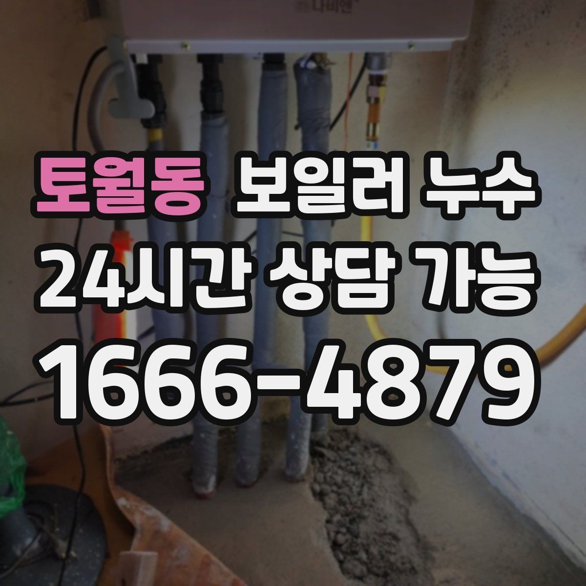 토월동 보일러 누수 장판 아래 곰팡이 냄새가 날 때