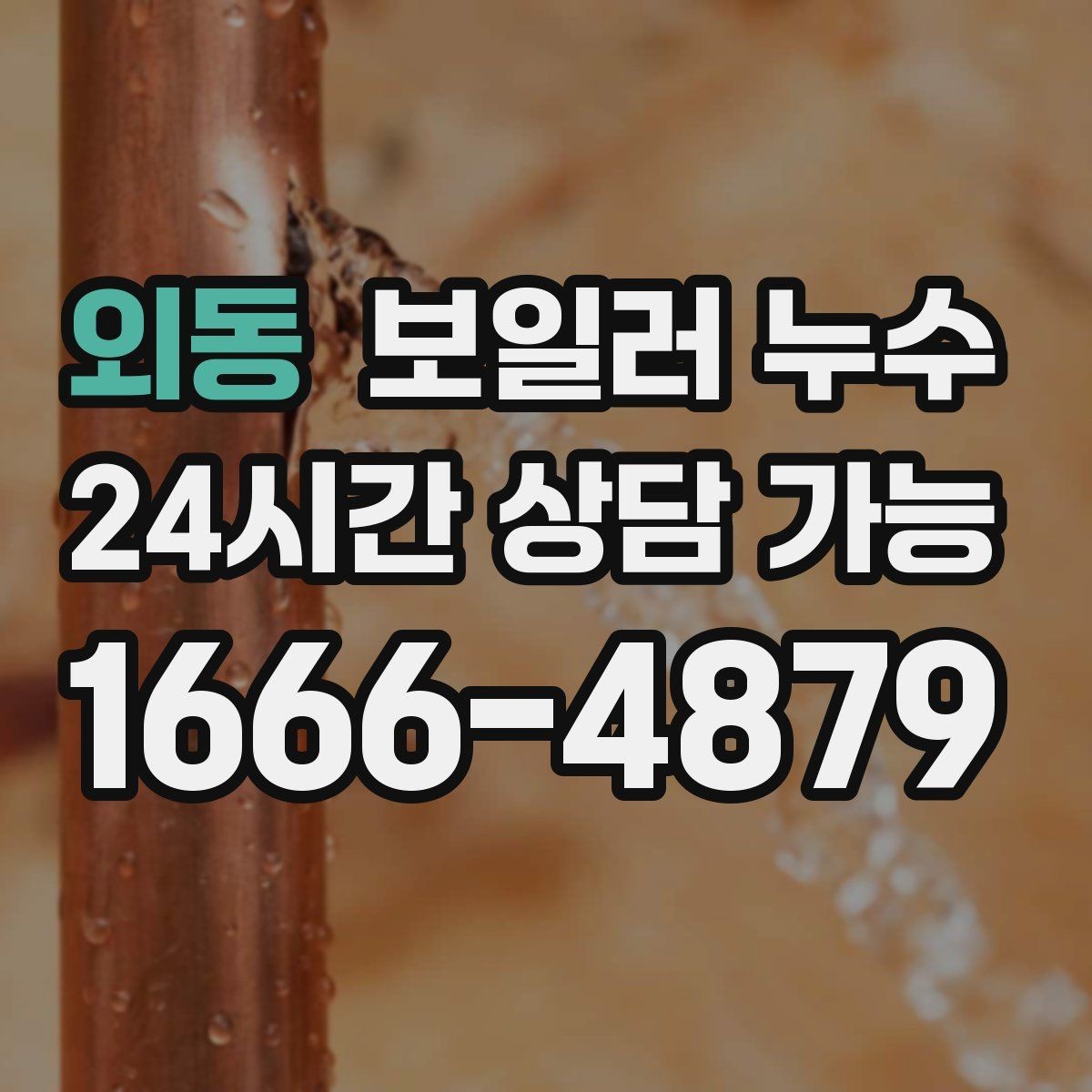 외동 보일러 누수 환절기 실내 습도 상승과 함께 보일 때