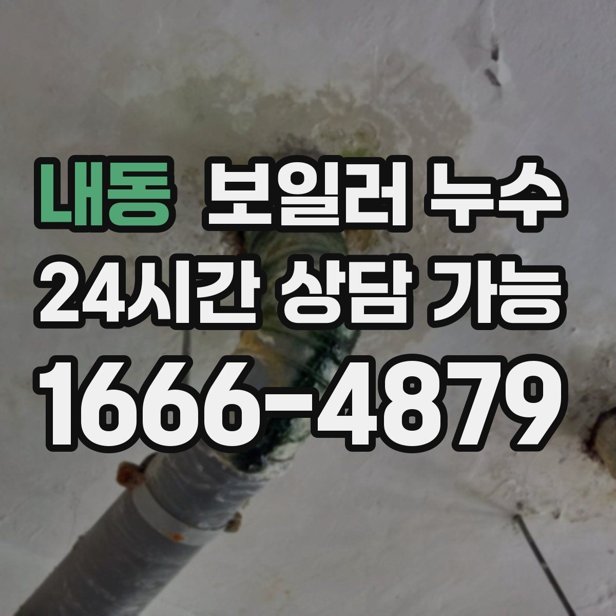 내동 보일러 누수 마루 교체 전에 원인부터 잡아야 하는 이유