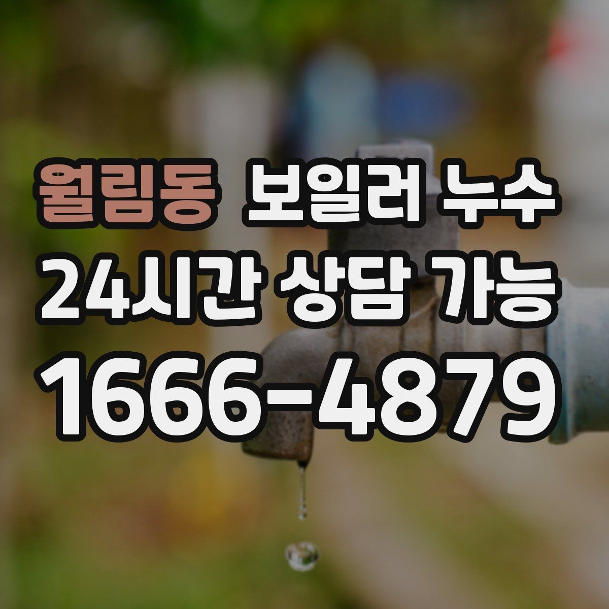 월림동 보일러 누수 곰팡이 냄새만 먼저 나는 경우