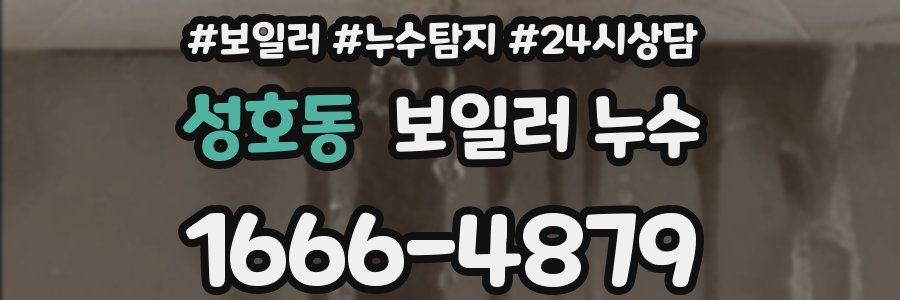 성호동 누수탐지